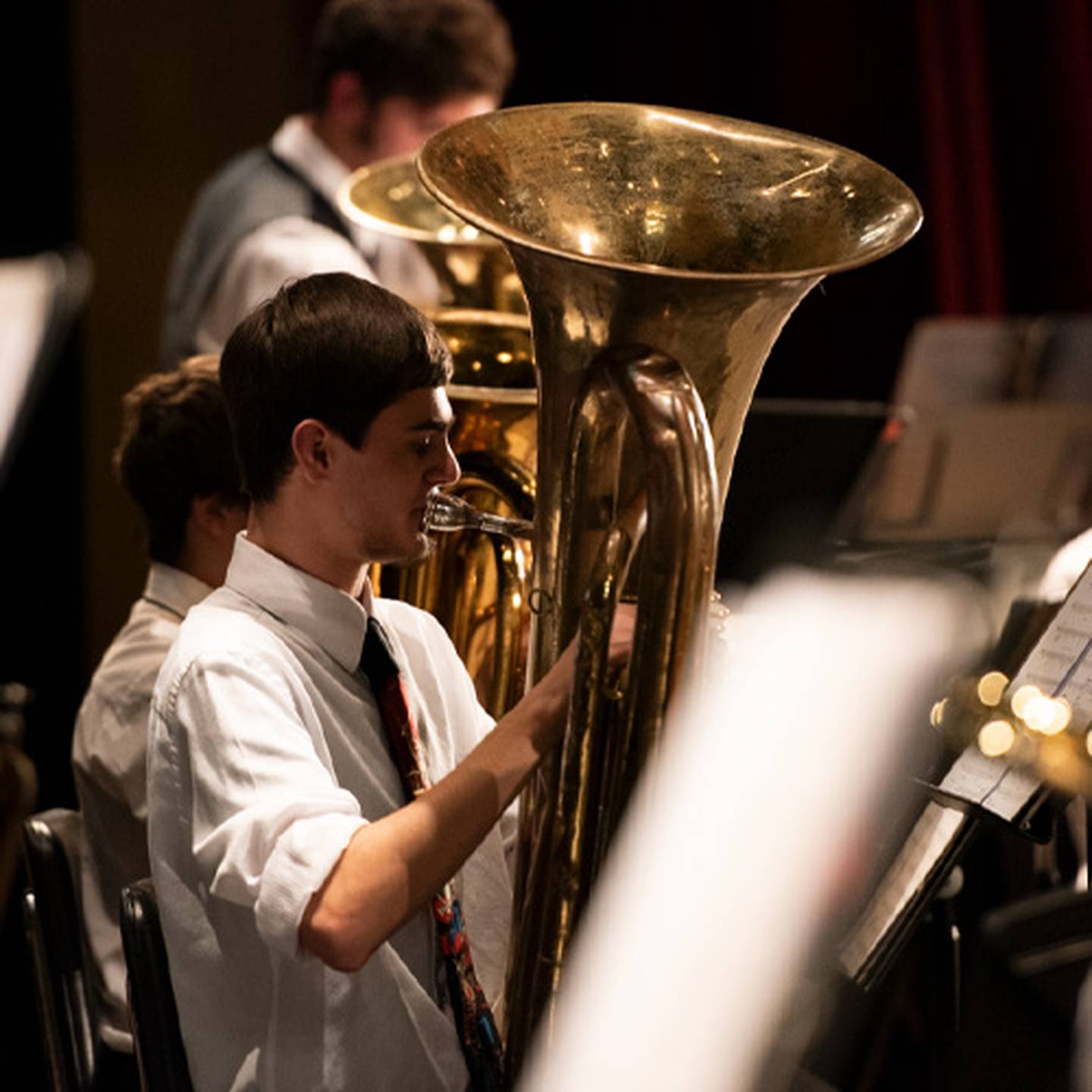 image of music performer playing brass instrument